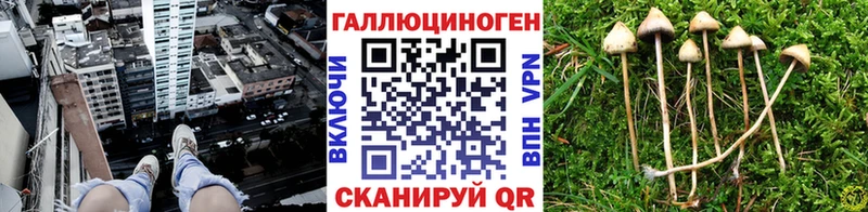 Галлюциногенные грибы Magic Shrooms  Покачи 